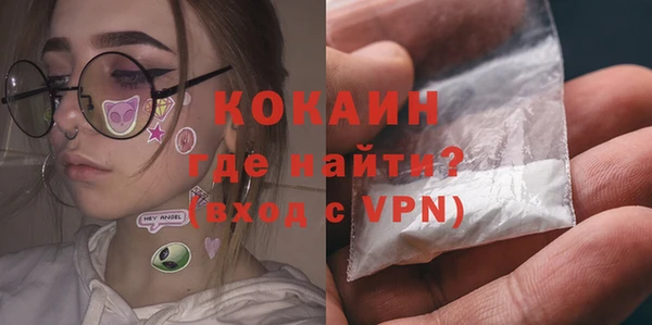 гашик Алзамай