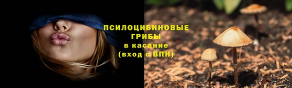 каннабис Алексеевка
