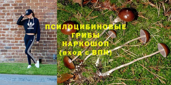 каннабис Алексеевка