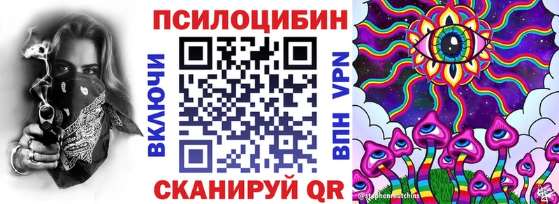 Псилоцибиновые грибы Cubensis  KRAKEN как войти  Сим 